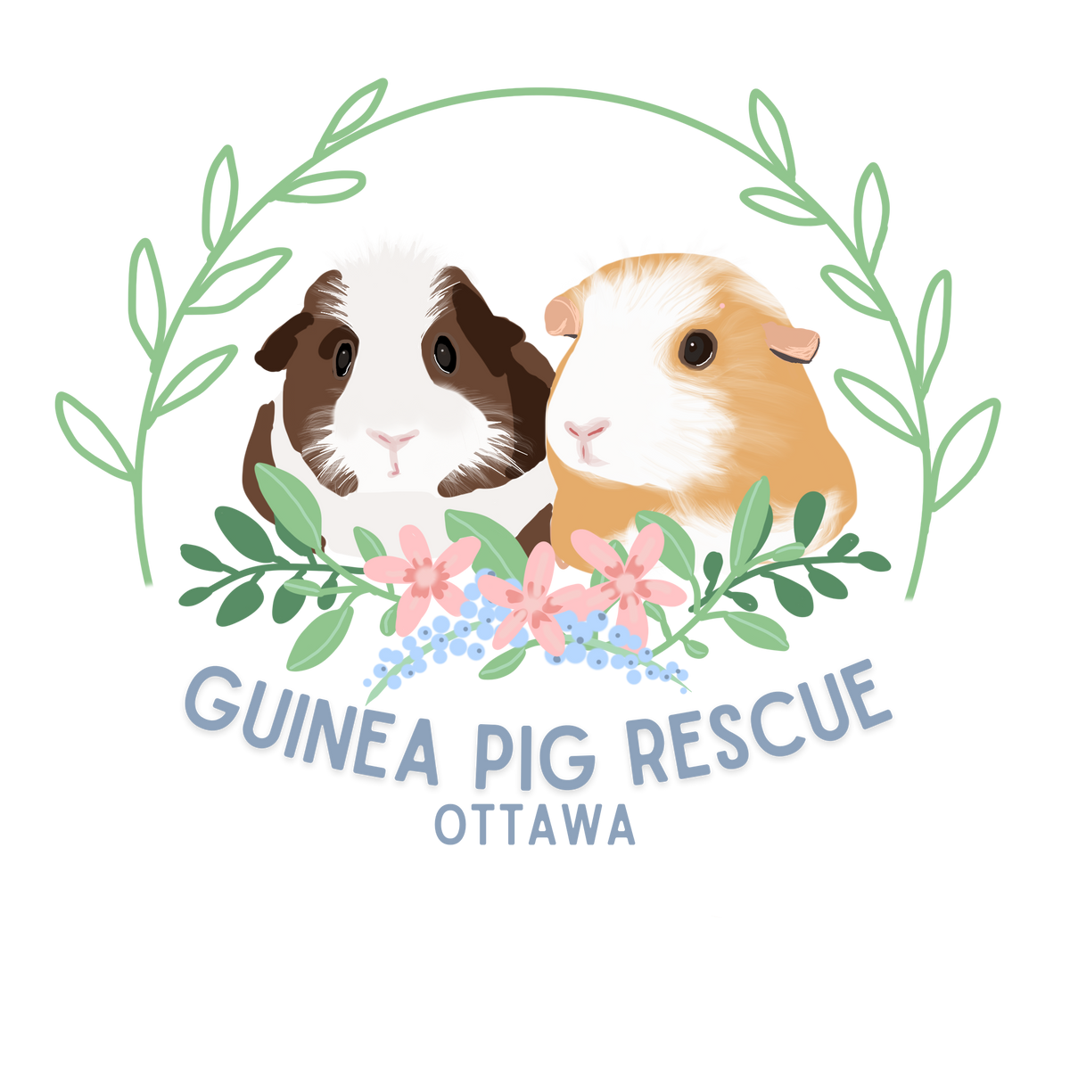 Surrendering a guinea 2024 pig