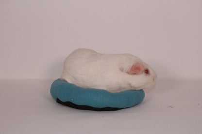 Bean