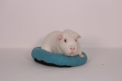 Bean